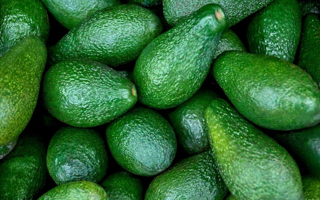 Quick-Start Checklist for Planting a Successful Avocado Orchard